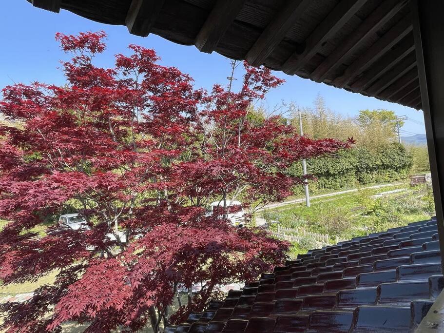ガーデンハウス道楽亭 Villa Sado Eksteriør bilde